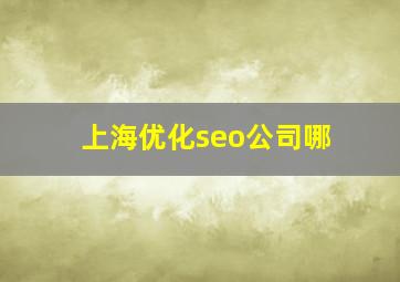 上海优化seo公司哪