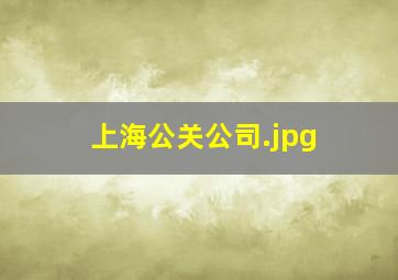 上海公关公司