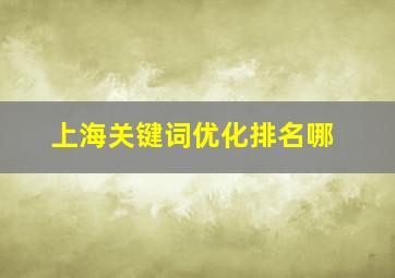 上海关键词优化排名哪