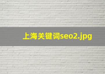 上海关键词seo