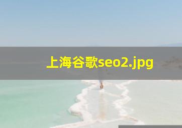 上海谷歌seo