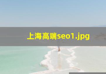 上海高端seo