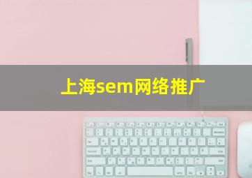 上海sem网络推广