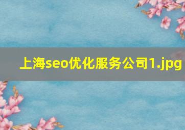 上海seo优化服务公司