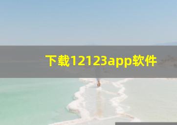 下载12123app软件