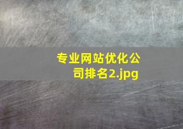 专业网站优化公司排名