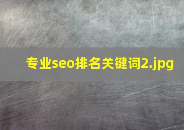 专业seo排名关键词