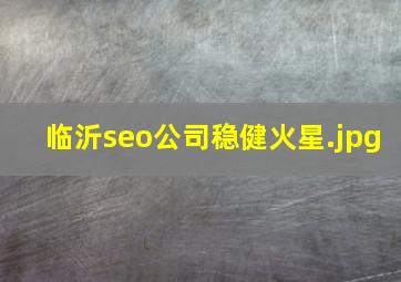 临沂seo公司稳健火星