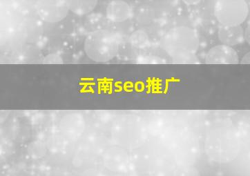 云南seo推广