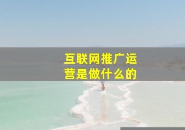 互联网推广运营是做什么的