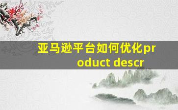 亚马逊平台如何优化product descr