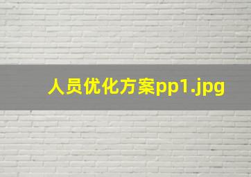 人员优化方案pp