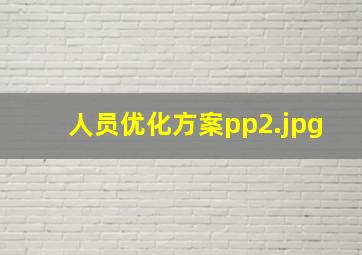 人员优化方案pp