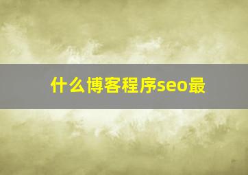 什么博客程序seo最