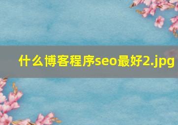 什么博客程序seo最好