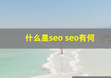 什么是seo seo有何