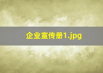 企业宣传册