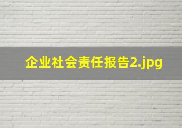 企业社会责任报告