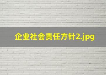 企业社会责任方针