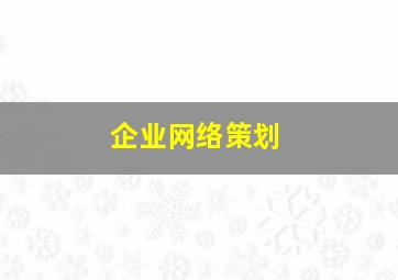 企业网络策划