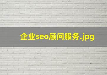 企业seo顾问服务