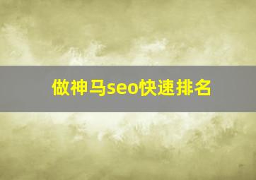 做神马seo快速排名