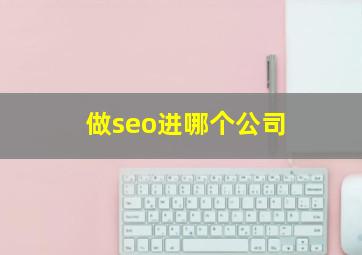 做seo进哪个公司