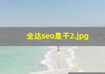 全达seo是干