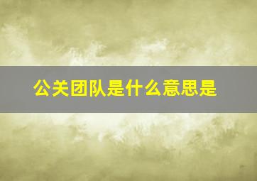 公关团队是什么意思是