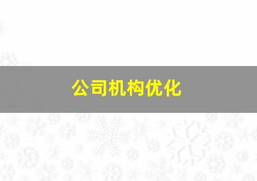 公司机构优化