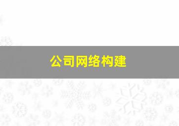 公司网络构建