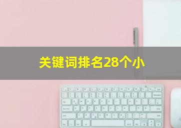 关键词排名28个小