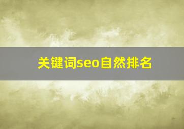 关键词seo自然排名
