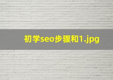 初学seo步骤和