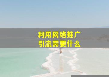 利用网络推广引流需要什么