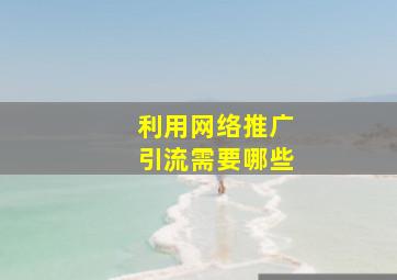 利用网络推广引流需要哪些