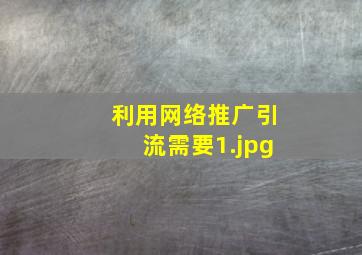 利用网络推广引流需要
