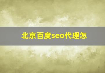 北京百度seo代理怎