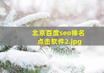 北京百度seo排名点击软件