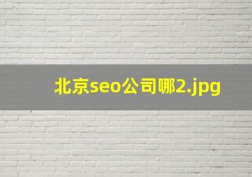 北京seo公司哪
