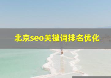 北京seo关键词排名优化