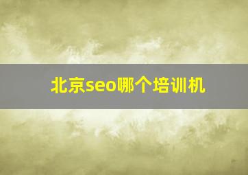 北京seo哪个培训机