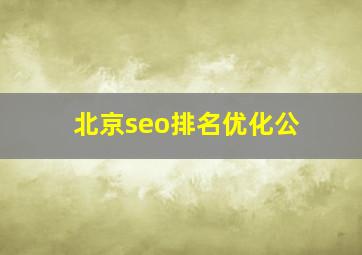 北京seo排名优化公