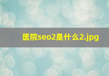 医院seo2是什么