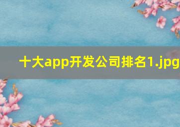 十大app开发公司排名