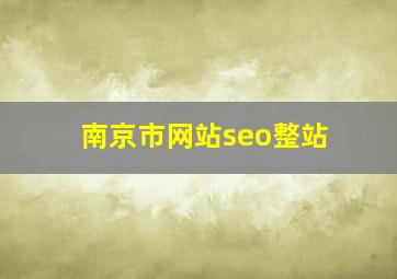 南京市网站seo整站