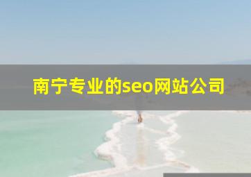 南宁专业的seo网站公司