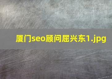 厦门seo顾问屈兴东