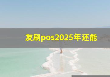 友刷pos2025年还能