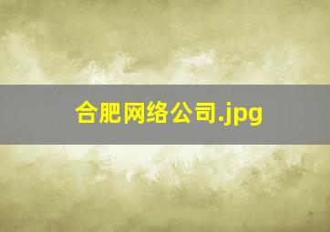 合肥网络公司